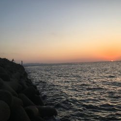 メバルはまだかな