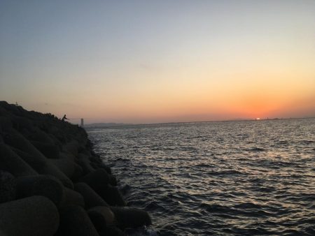 メバルはまだかな