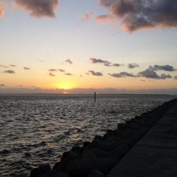 爆風でカマスとロウニンアジ