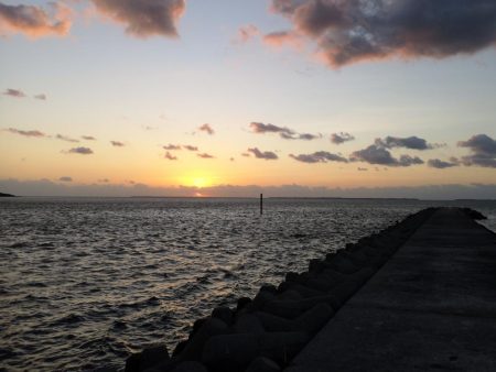 爆風でカマスとロウニンアジ