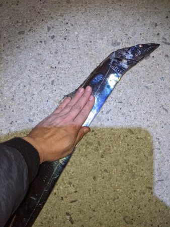 かもめ大橋夕まずめ