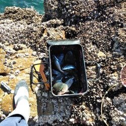 フカセが一番・・面白いです・・