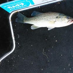 スピニングタックル