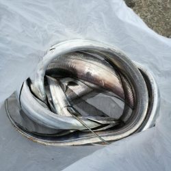 南港釣行 （11/23 南港タチウオ釣り 3本 釣果有り）