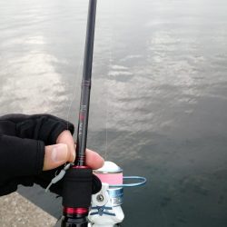 魚探しのライトゲーム用