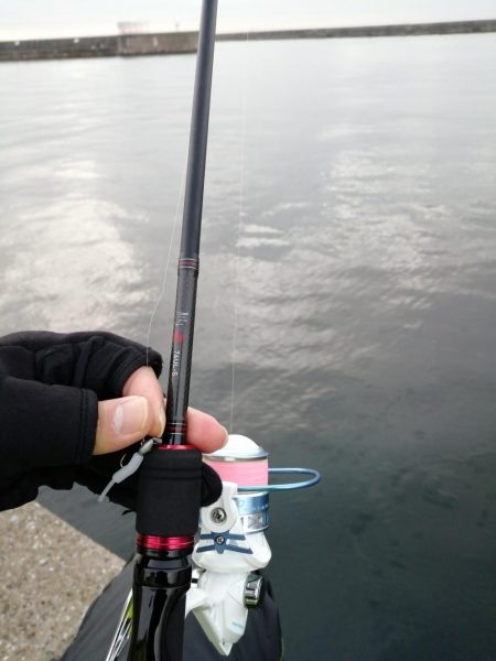 魚探しのライトゲーム用