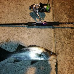 サイズはそれほど