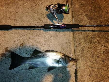 サイズはそれほど