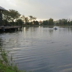 平日の管理釣り場は厳しかった!