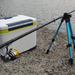 晩秋のエビ撒き釣り メバルがほとんど