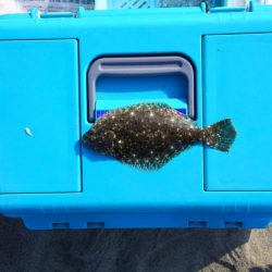 落ちギスを狙ったが、不調