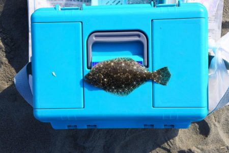 落ちギスを狙ったが、不調