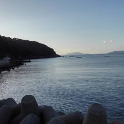 お初がダブルで来たよ