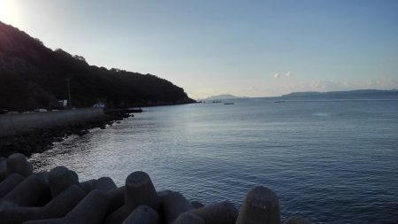 お初がダブルで来たよ