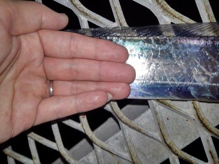 タチウオ釣行です