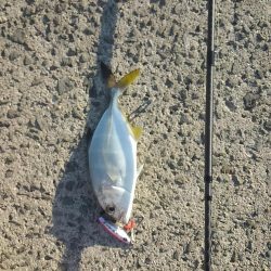 横風が冷たかったです