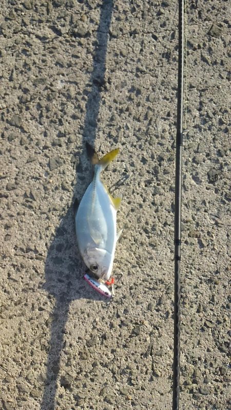 横風が冷たかったです