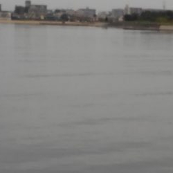 もう、終息ですか?!