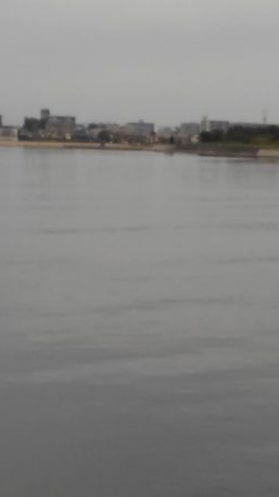 もう、終息ですか?!