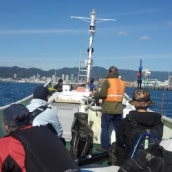 どこに行けば青物がつれるのですか？