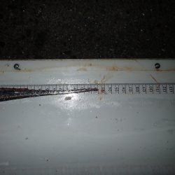 でたっ！120cm超え！！