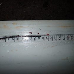 ギリギリ超えた(^^)