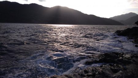 ブリと言っていいよね?