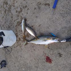 爆釣モード突入