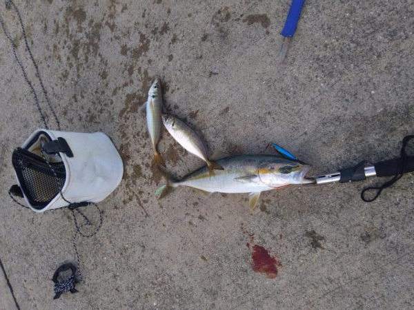 爆釣モード突入