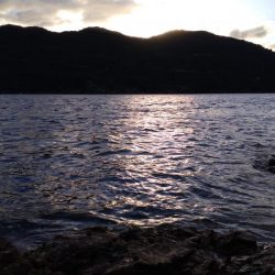 トップでハマチ