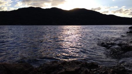 トップでハマチ