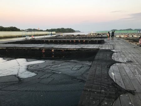 久しぶりの海上釣堀