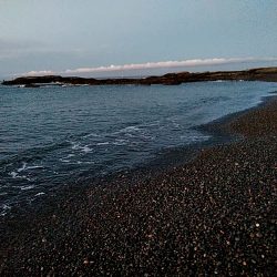 アオリイカ　これからが楽しみです♪♪