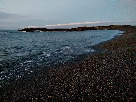 アオリイカ　これからが楽しみです♪♪