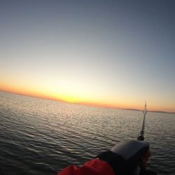 津サーフ ウェーディング マゴチ・ツバス