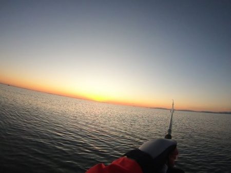 津サーフ ウェーディング マゴチ・ツバス