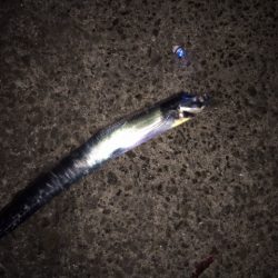 かっとびボール　太刀フロート