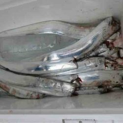 遊漁船 セトマリン 釣果