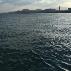 マリンピアで人爆