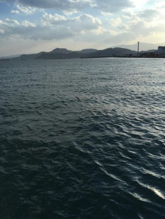 マリンピアで人爆