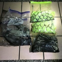 北風に強い地磯で秋イカ狙いのエギング釣果