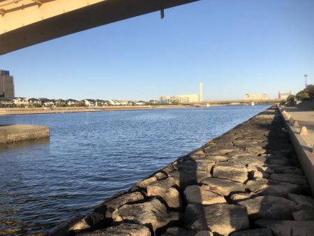 フカセ釣りプラクティス