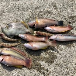 ちょい投げ釣り