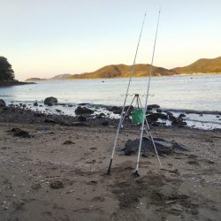 室津で投げ釣り!キスとタコ