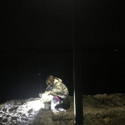 ナイトエギング