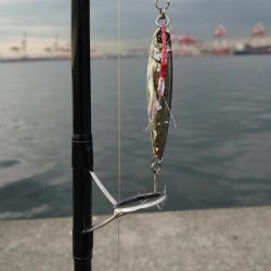 秋の3種コンプリート