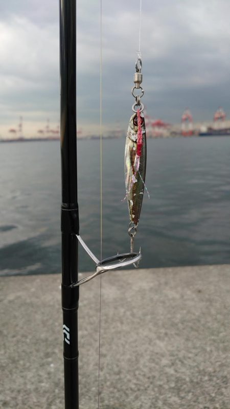 秋の3種コンプリート