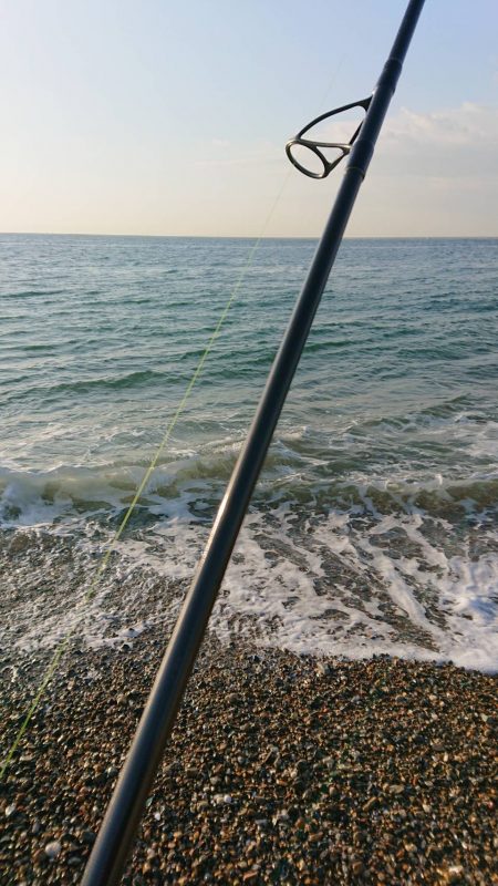 サーフヒラメ シーズン到来!?