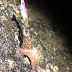 時間限定の場所