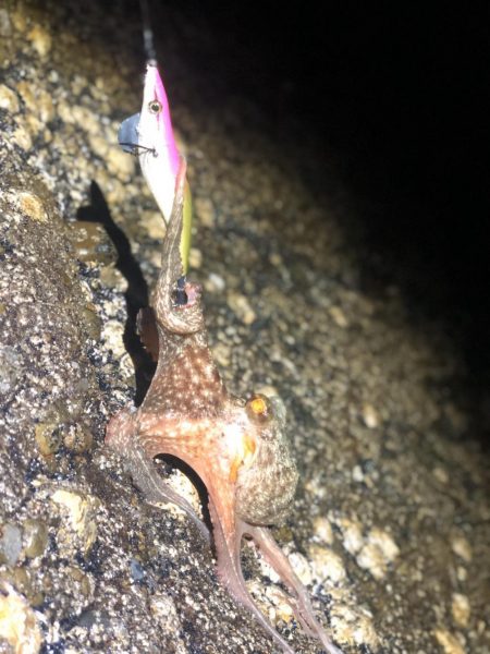 時間限定の場所